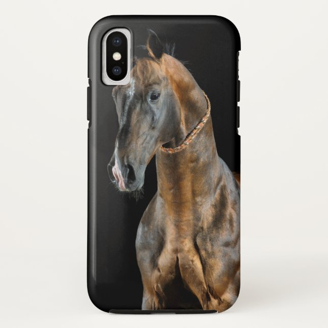Akhal-Teke Horse Case-Mate iPhone Hülle (Rückseite)
