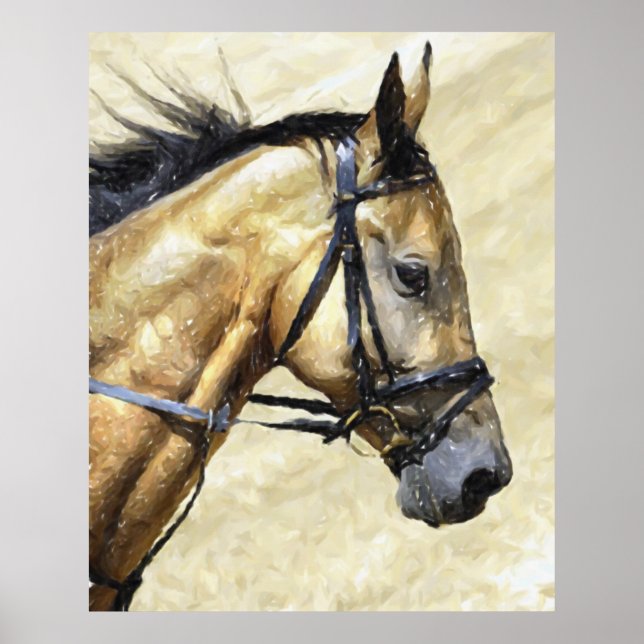 Akhal-Teke Horse Portrait Poster drucken (Vorne)
