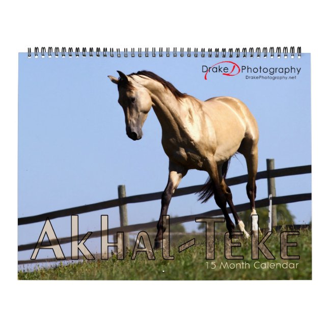 Akhal-Teke-Pferde 2011 Kalender (Titelbild)