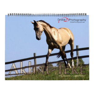 Akhal-Teke-Pferde 2011 Kalender