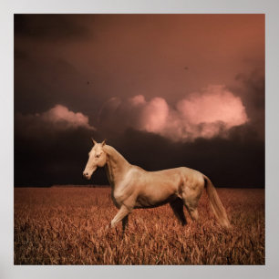 Akhal-Teke Poster