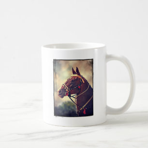 Akhal Teke Tasse