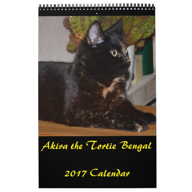 Akira the Tortie Bengalisch 2017 Mittelkalender Kalender (Titelbild)