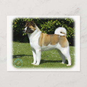 Akita 9R047D-143 Postkarte
