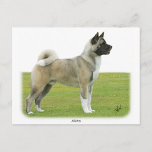 Akita 9R071D-147 Postkarte