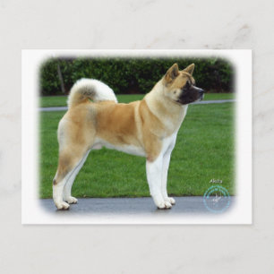 Akita 9T031D-052 Postkarte