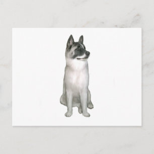 Akita (A) - (schwarze Maske) Postkarte