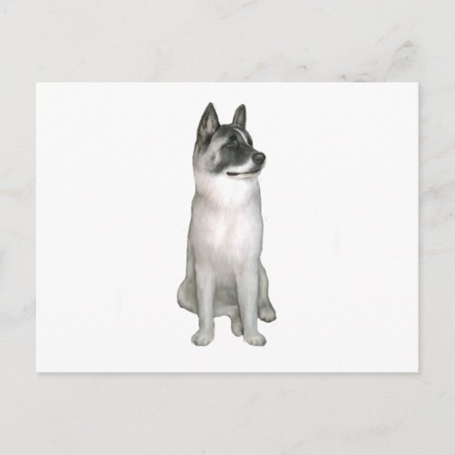 Akita (A) - (schwarze Maske) Postkarte (Vorderseite)