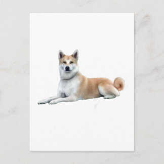 Akita (Akita Inu) - Verlegen Postkarte