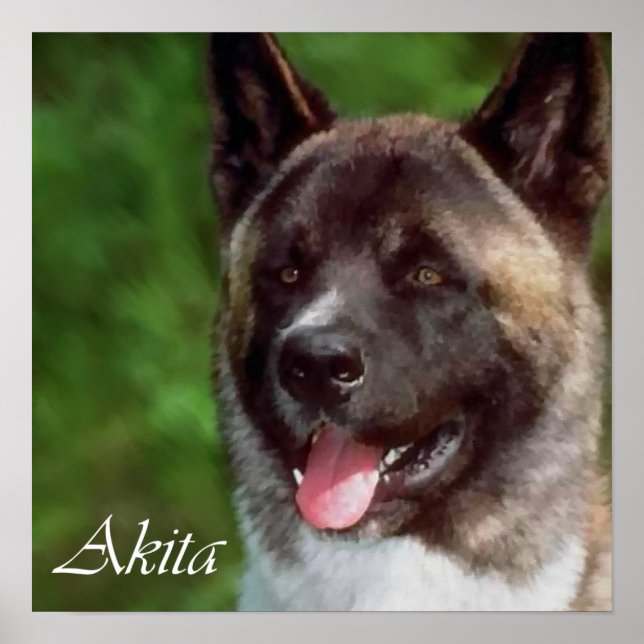 Akita Art Print Geschenke Poster (Vorne)