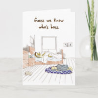 Akita Bossy Dog - Funny Birthday Card