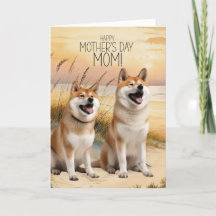 Akita Dogs Muttertag Sunset Beach Cove