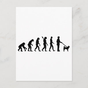 Akita Evolution Postkarte
