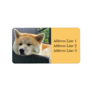 Akita-Foto-Adressetikett Adressaufkleber