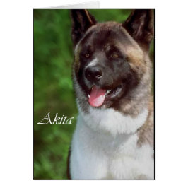 Akita Gaben of Art