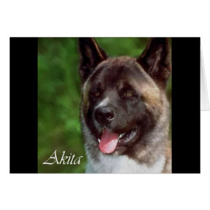 Akita Gaben of Art