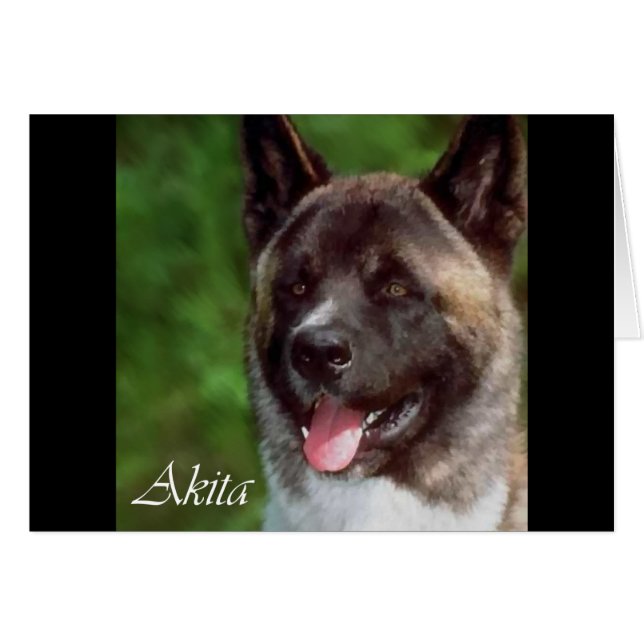 Akita Gaben of Art (Vorderseite (Horizontal))