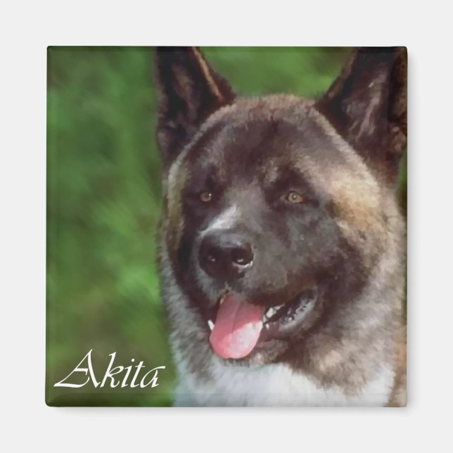 Akita Gaben of Art Magnet (Vorne)
