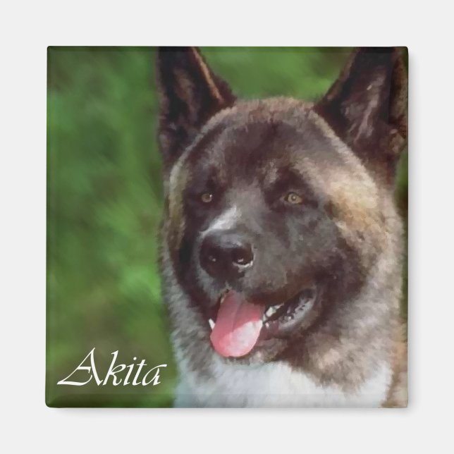 Akita Geschenke Magnet (Vorne)