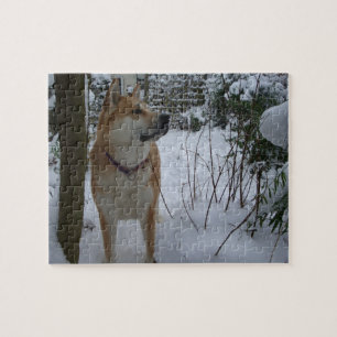 Akita-Hund im Schnee bedeckte Gartenstrauch-Foto Puzzle