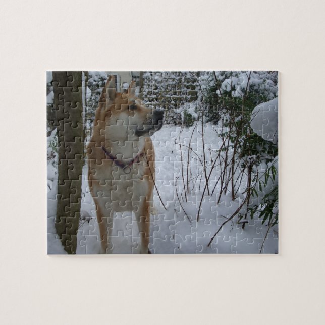 Akita-Hund im Schnee bedeckte Gartenstrauch-Foto Puzzle (Horizontal)