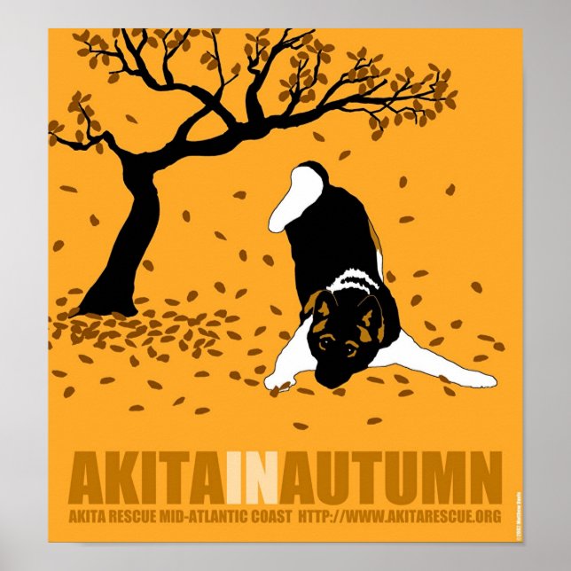 Akita im Herbst (12" x 13") Poster (Vorne)