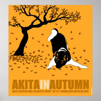 Akita im Herbst (30" x 32,5") Poster
