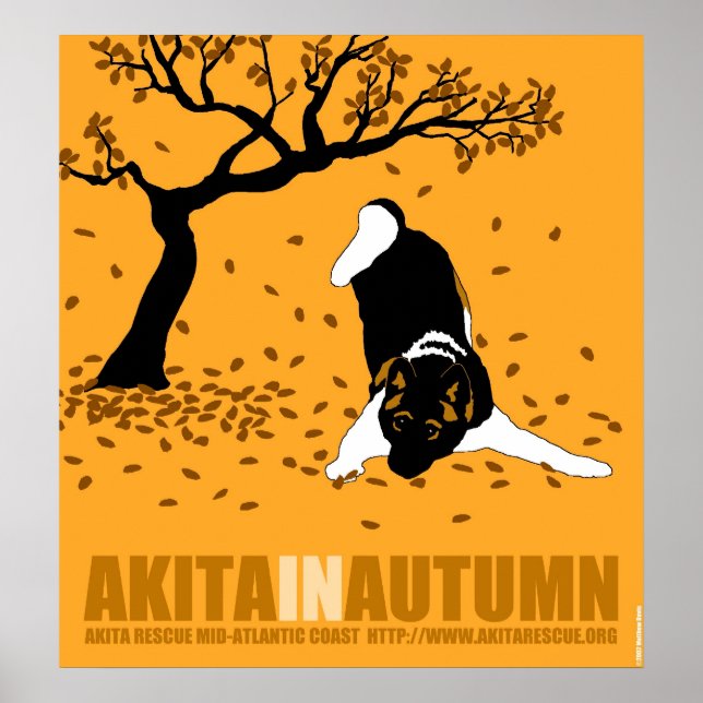 Akita im Herbst (32" x 34,5") Poster (Vorne)