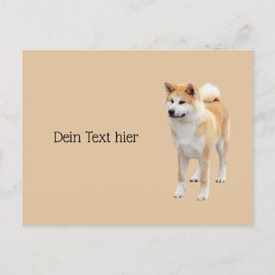Akita Inu   Postkarte