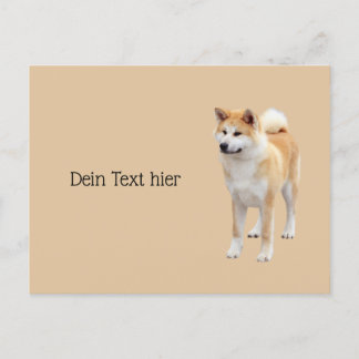 Akita Inu Postkarte