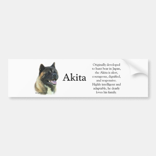 Akita Inu Trivia Autoaufkleber (Vorne)