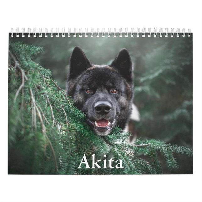 Akita Kalender (Titelbild)