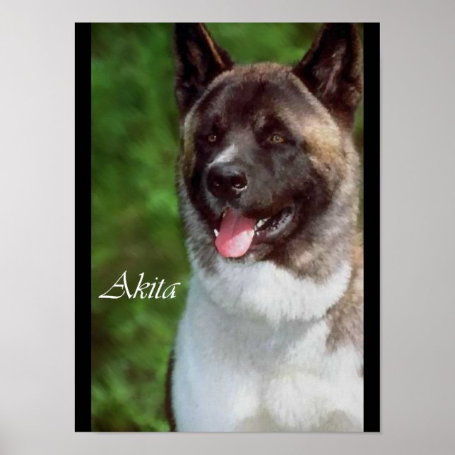 Akita liebt Plakate und Prints (Vorne)