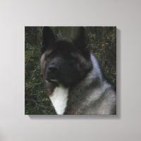 Akita Pin