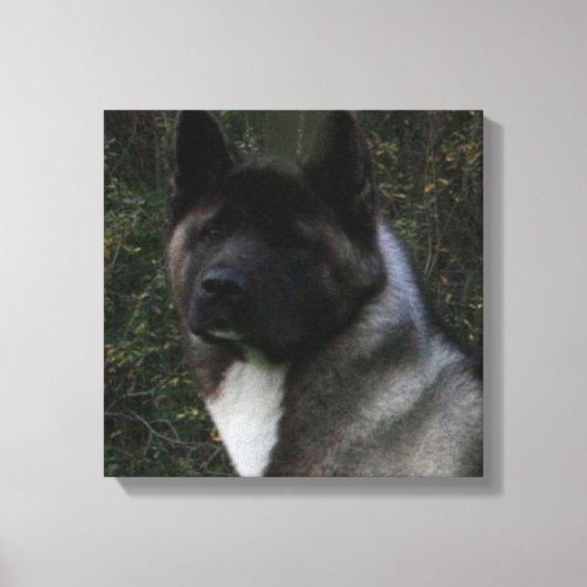 Akita Pin Leinwanddruck (Vorderseite)