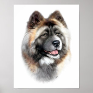 Akita Poster