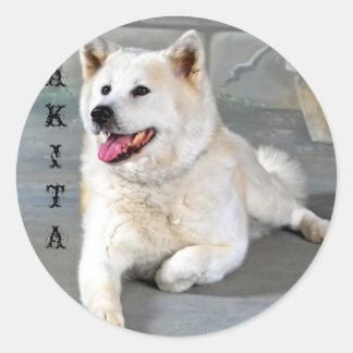 Akita Runder Aufkleber