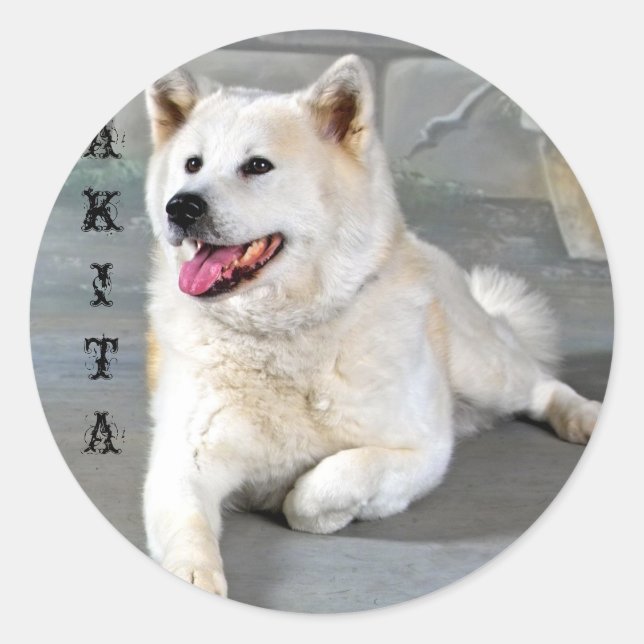 Akita Runder Aufkleber (Vorderseite)