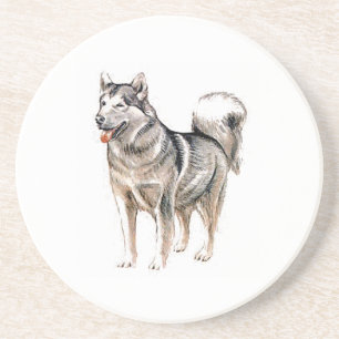 Akita Sandstone Coaster Getränkeuntersetzer