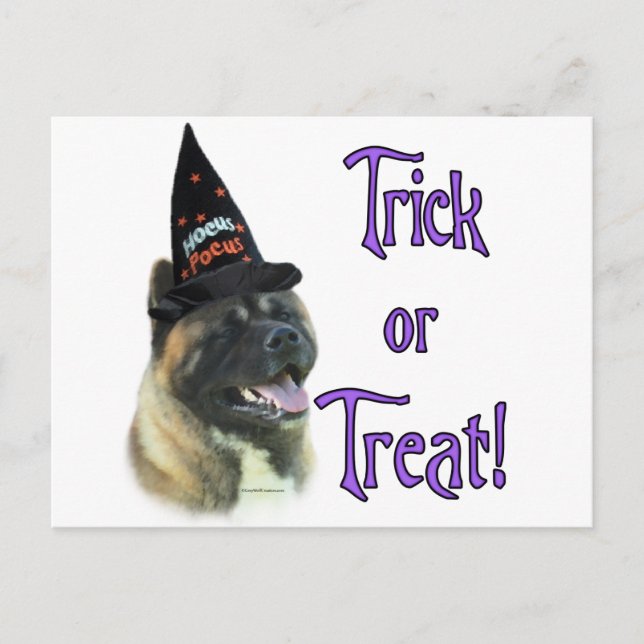Akita Trick Postkarte (Vorderseite)
