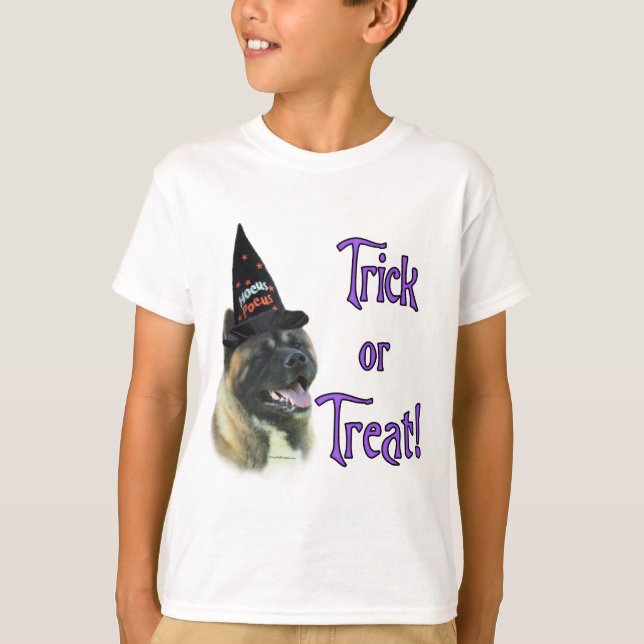 Akita Trick T-Shirt (Vorderseite)