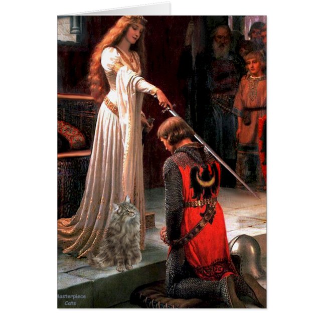 Akkolade — Norwegische Waldkatze (Vorne)