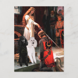 Akkolade - Poodle (ZWEI Standard) Postkarte