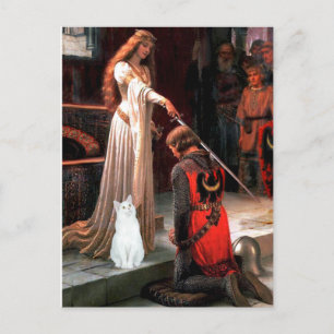 Akkolade - Weiße Katze Postkarte