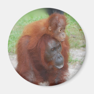 Akmad und Baby Boy Magnet