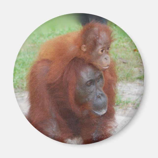 Akmad und Baby Boy Magnet (Vorne)