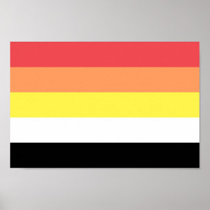 Akoisexuell Akoiromantischer Stolz Poster