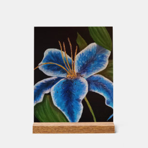 Akryling Acrylschild