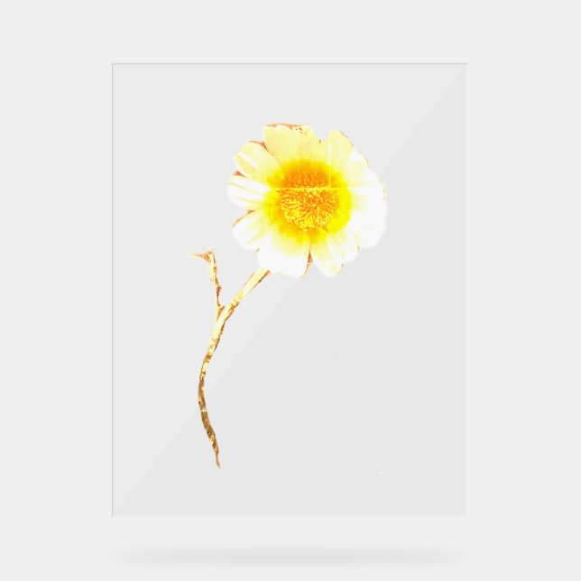 Akryllischer Signature ART DESIGN STIL Acrylschild (Vorderseite)