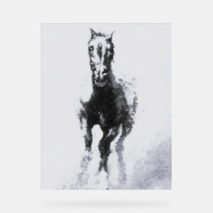 Akryllischer Stil und Design von Wildpferden Acrylschild